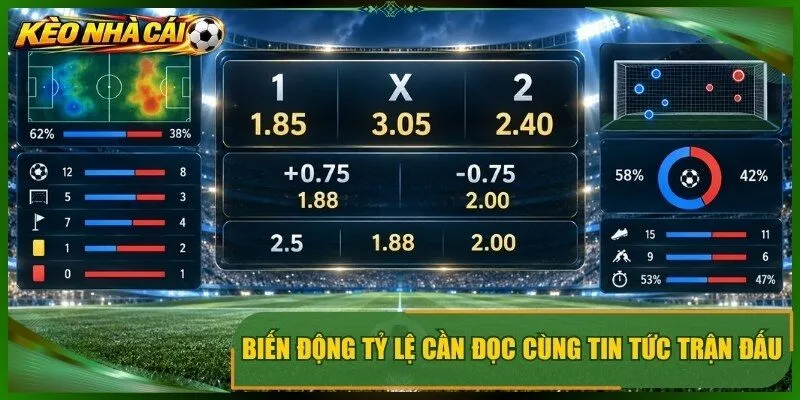 Biến động mức tỷ lệ cần đọc cùng tin tức trận đấu