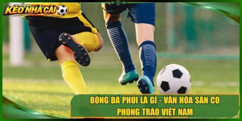 Bóng Đá Phủi Là Gì