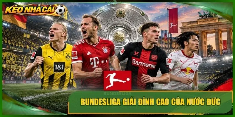 Bundesliga giải đỉnh cao của nước đức