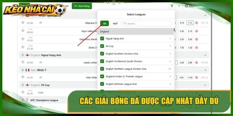 Các giải bóng đá được cập nhật đầy đủ trong ngày hôm nay