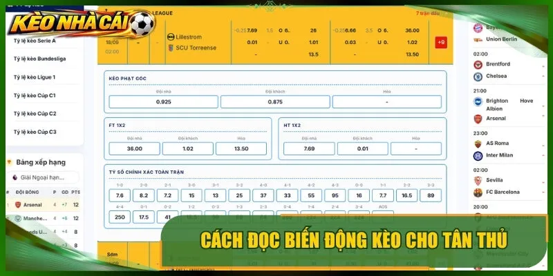 Cách đọc biến động kèo cho tân thủ