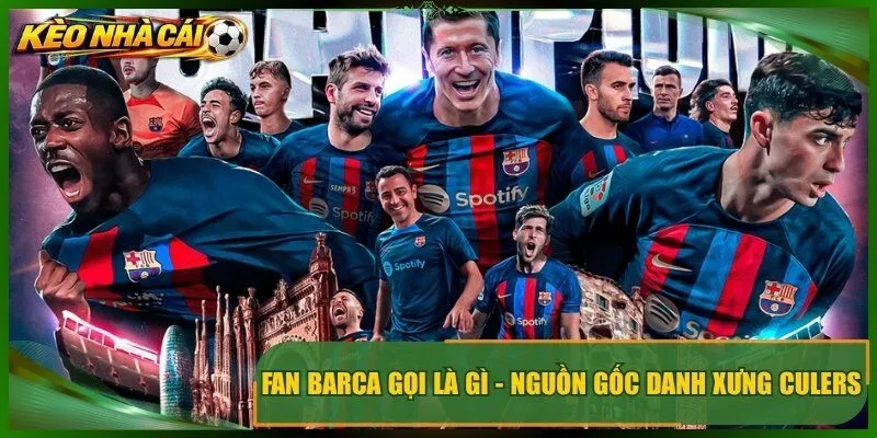 Fan Barca Gọi Là Gì