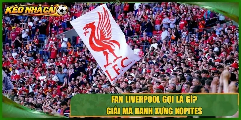 Fan Liverpool Gọi Là Gì