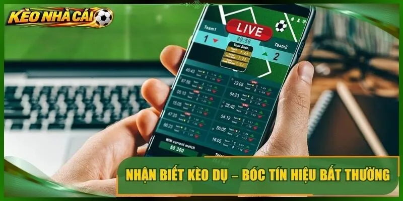 Nhận Biết Kèo Dụ