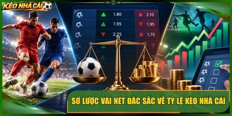 Sơ lược vài nét đặc sắc về tỷ lệ kèo nhà cái