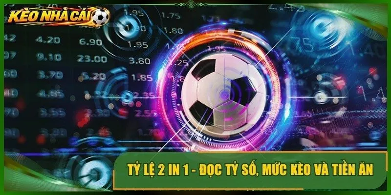 Tỷ Lệ 2 In 1